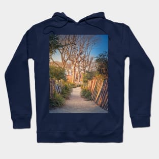 Narrow footpath in the park Hoodie